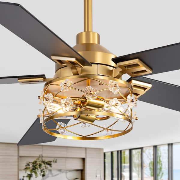 Tottel 52 in. 2-Light Indoor Polished Gold Downrod Ceiling Fan with Light Kit, 5 Black/Brown Blades and Remote Included