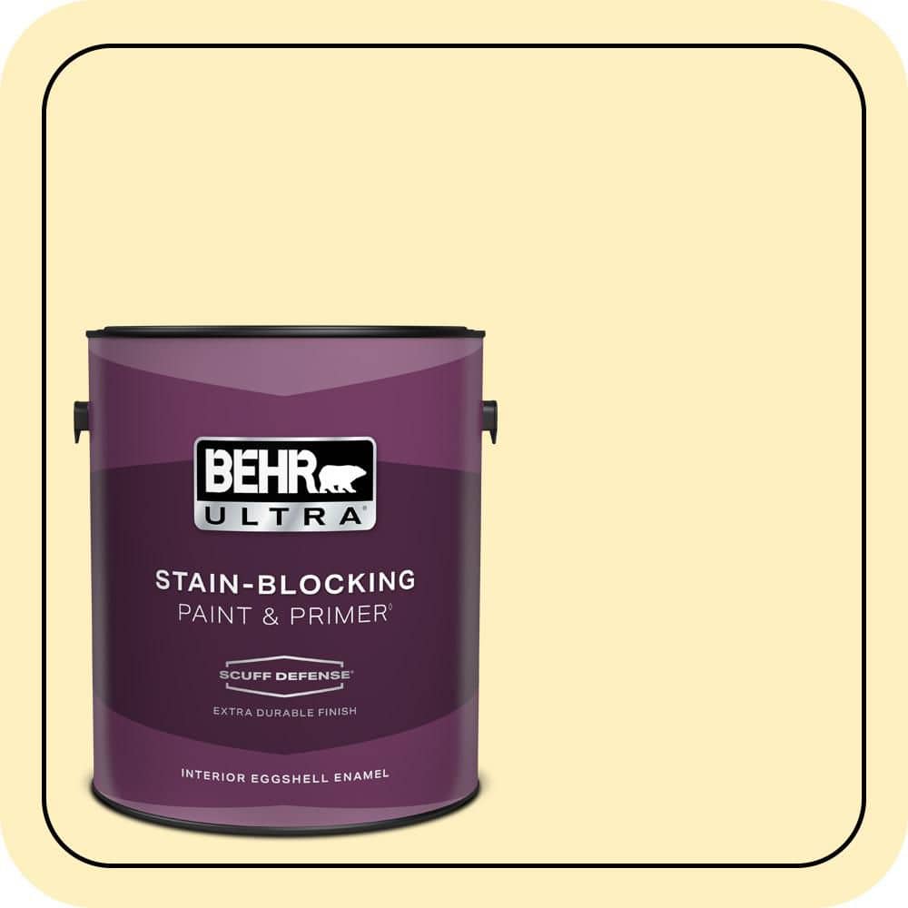 1 gal. #P300-2 Meringue Extra Durable Eggshell Enamel Interior Paint & Primer price history on PriceWatchPro