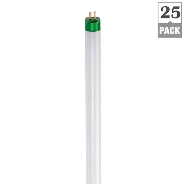 5 foot t8 fluorescent