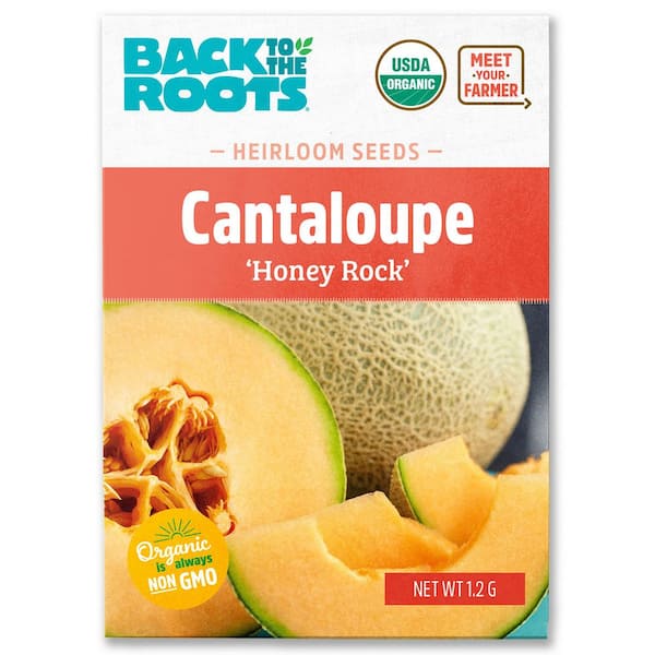 (1-Pack) Organic Cantaloupe 'Honey Rock' Seed