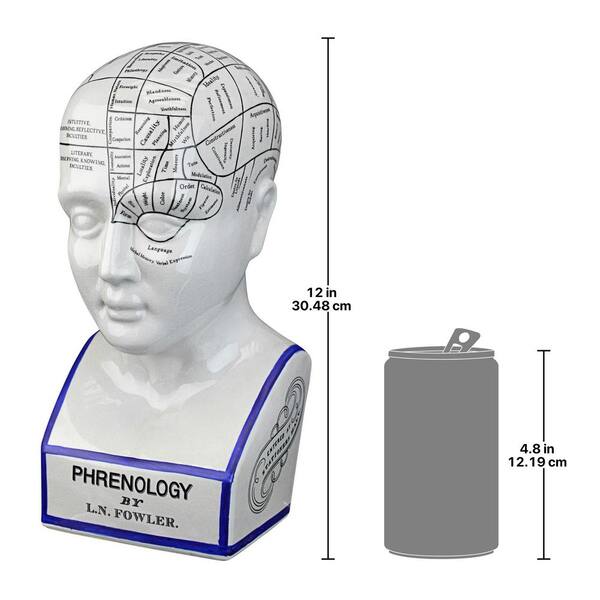 デザイントスカーノの磁器のPhrenology Head Fortune Telling デザイントスカーノの磁器のPhrenology Head Fortune Telling
