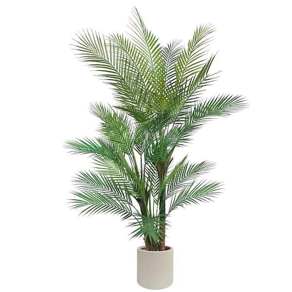 monstera.plant Monstera deliciosa 'Thai Constellation'  The Plant Lady SF