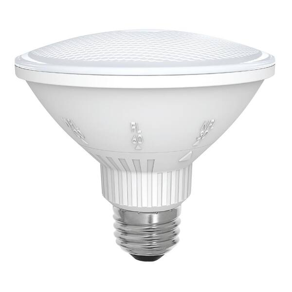 home depot par 30 led