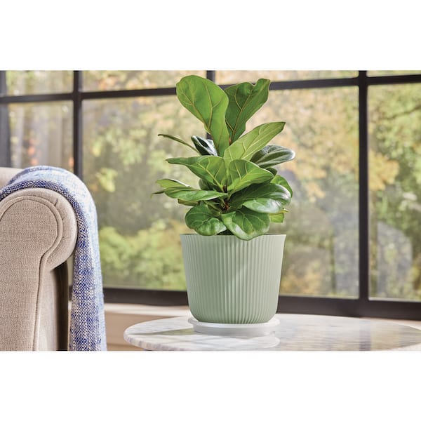 6 in. Dia Heavy-Duty Plastic Planter Saucer