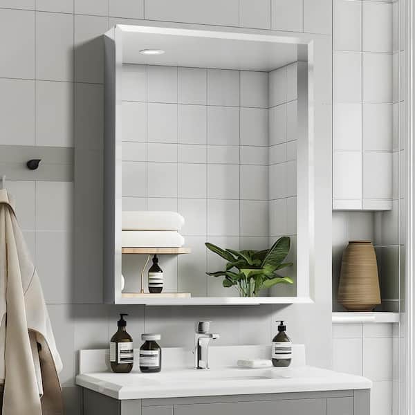 Lirago 20 in. W x 26 in. H Rectangular Metal Recessed/Surface Mount Medicine Cabinet with Mirror in Silver