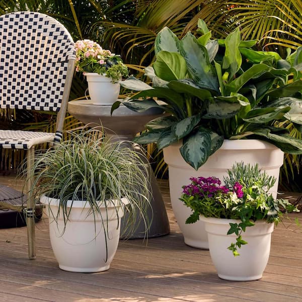 Bloem Ariana 17.75 in. L x 17.75 in. W x 13.75 in. H 24 qts