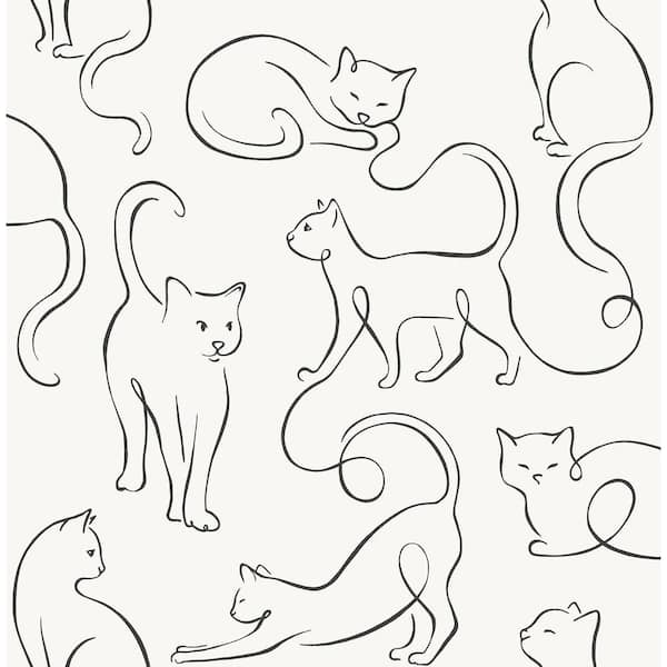 Clarice Black Cat Sketches Wallpaper