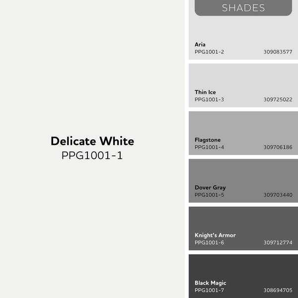 Ppg1001 White Colors 1