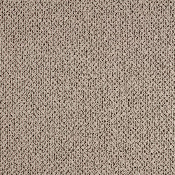 Lifeproof with Petproof Technology 8 in. x 8 in. Pattern Carpet Sample - Beyond Cozy -Color Cushion