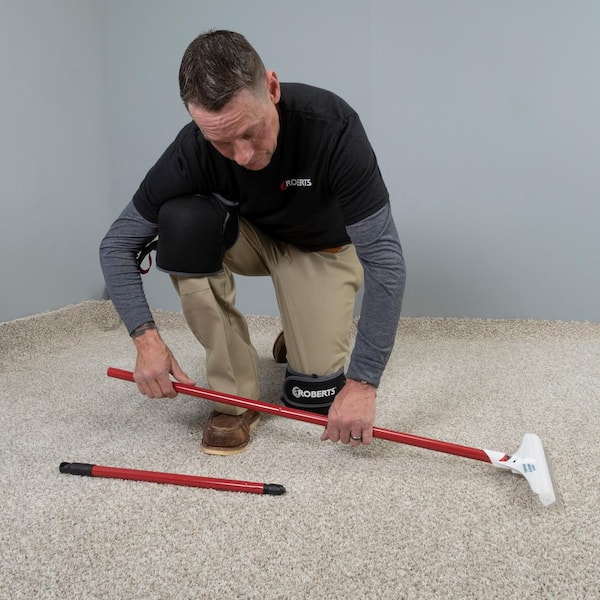 The 7 Best Carpet Rakes for Pet Hair According to Rover Pet Parents