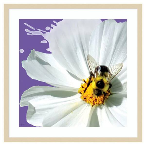 Amanti Art Flower Pop IV by Marie Elaine Cusson 25 in. W x 25 in. H. Wood Framed Wall Art Print Framed in Brown