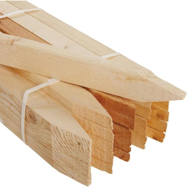 36 in. x 0.5 in. x 7.7 in. Fir Wood Garden Stakes with Sharp Point for Survey & Plant Support, 25-Pack