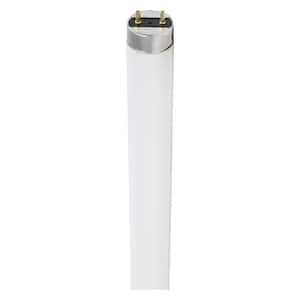 32-Watt 4 ft. Linear Tube T8 Fluorescent Light Bulb Cool White (2-Pack)