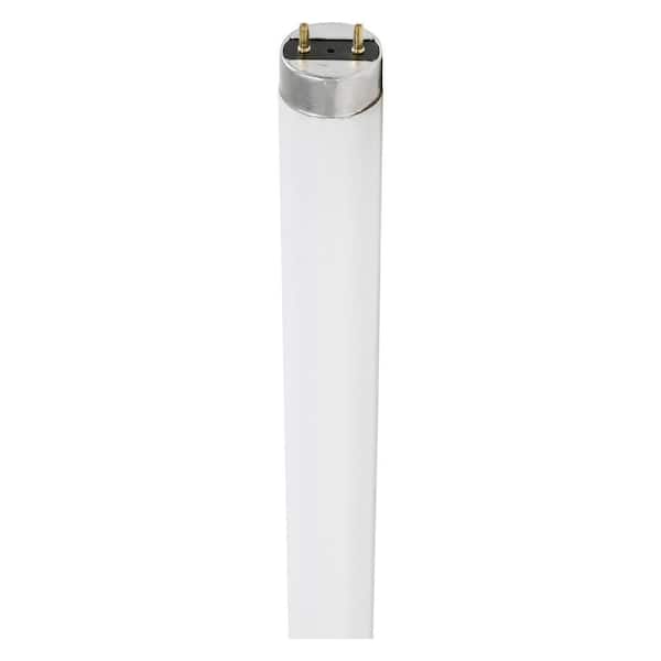Sylvania 15-Watt 18 in. Linear Tube T8 Fluorescent Light Bulb Bright White