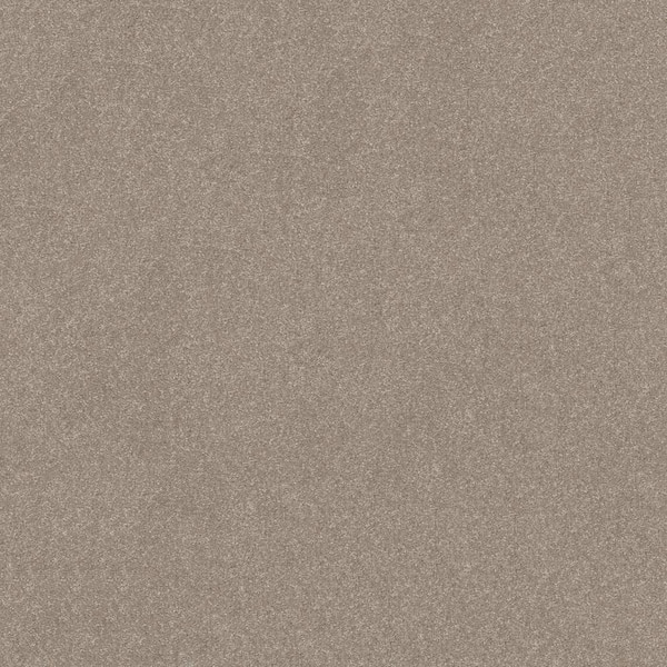 Home Decorators Collection House Party I - Awaken - Beige 37.4 oz. Polyester Texture Installed Carpet