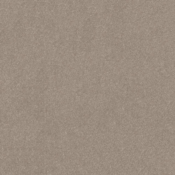 Home Decorators Collection House Party II - Awaken - Beige 15 ft. 51.5 oz. Polyester Texture Installed Carpet