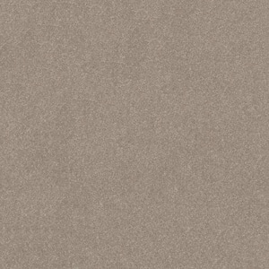 Blakely III - Verbena-Beige 12 ft. 66 oz. High Performance Polyester Texture Installed Carpet
