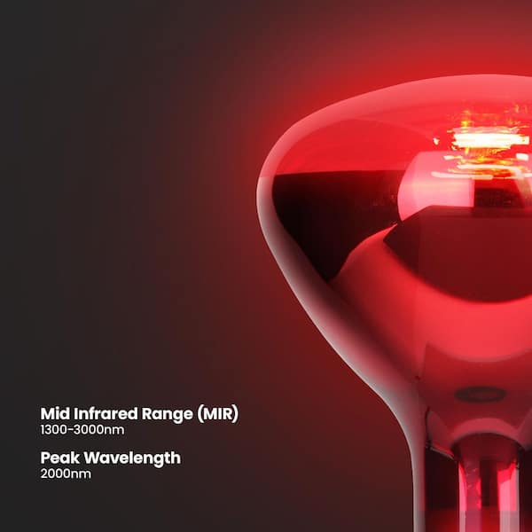 Feit Electric 250-Watt BR40 Red Reflector E26 Heat Lamp Dimmable