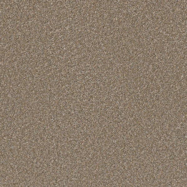 Home Decorators Collection Gentle Glimmer III-Glisten Gray-70 oz. SD Polyester Texture Installed Carpet