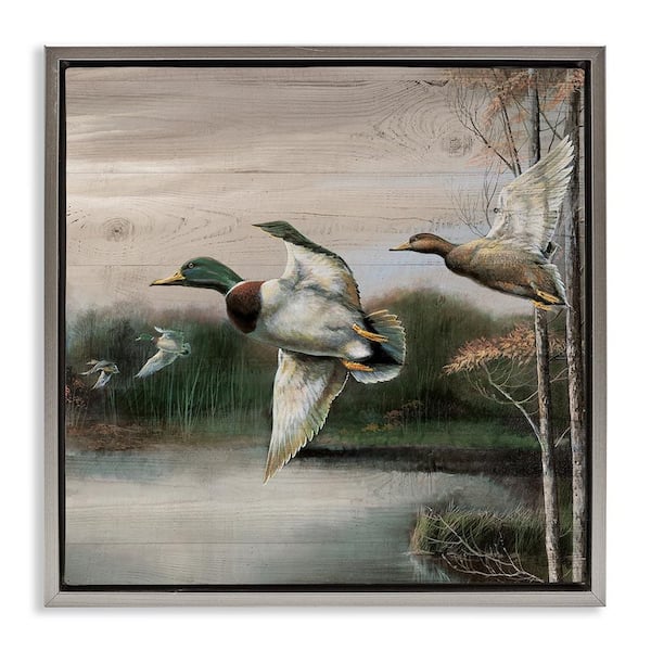 Stupell Industries Flying Ducks in Rustic Nature by Ruane Manning Gray Floater Frame Animal Graphic Art Print 18 in. x 18 in.