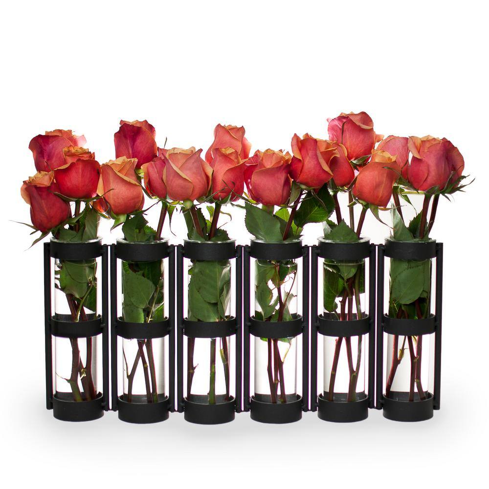 Black Hinged Metal Vase with Six Glass Tubes