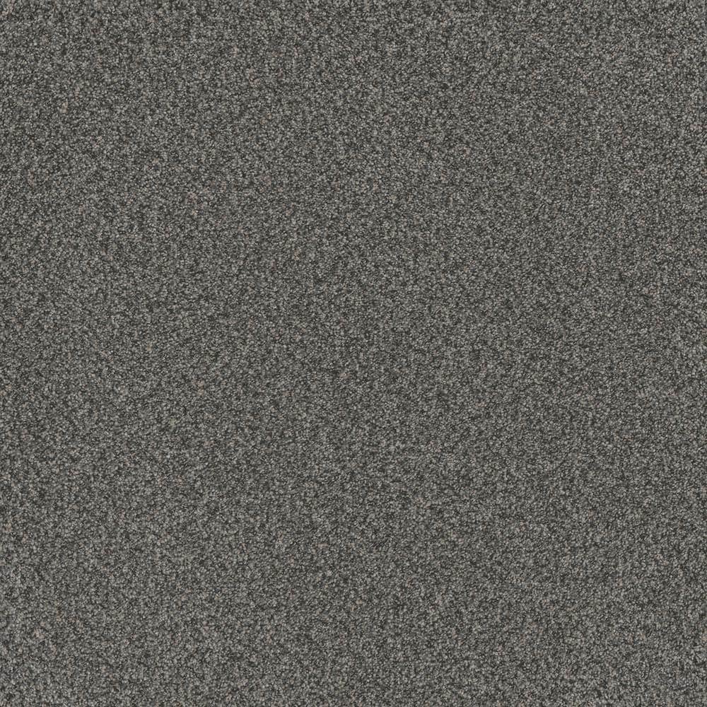 8 in. x 8 in. Texture Carpet Sample - Serene Glory II - Color Relaxed price history on PriceWatchPro