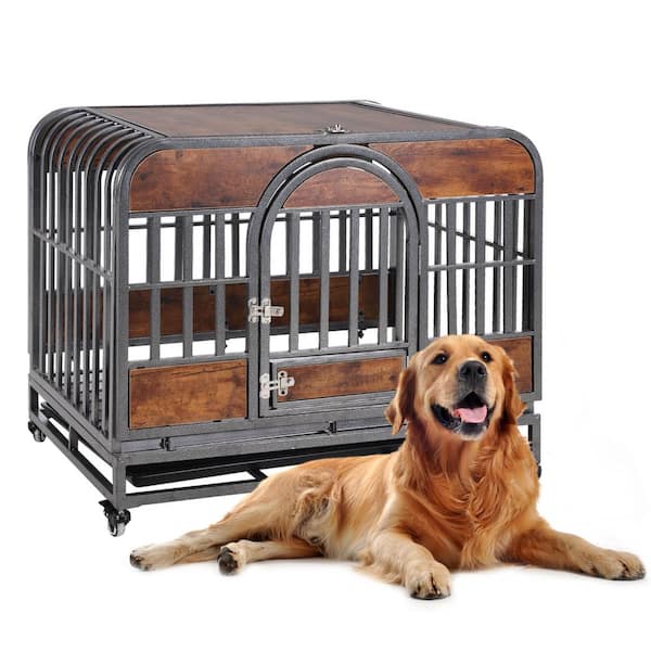 Dog anxiety in kennel sale