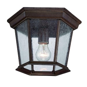Dover Collection 1-Light Burled Walnut Outdoor Ceiling Fixture