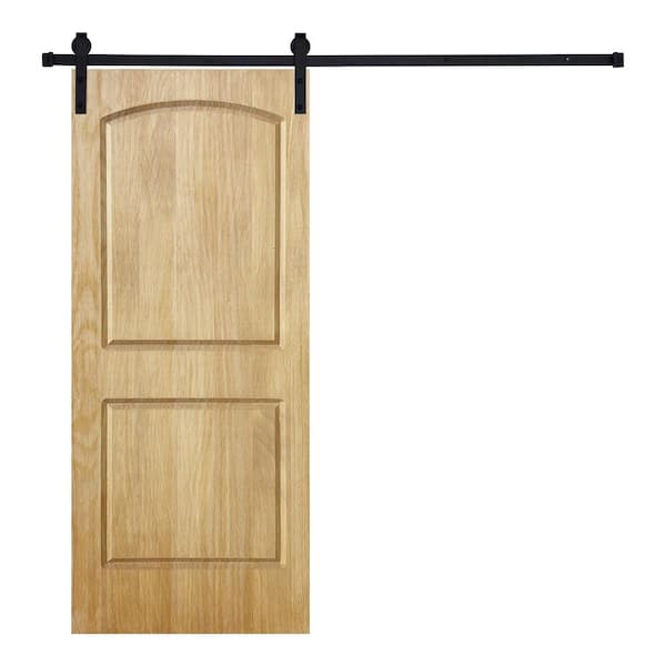 AIOPOP HOME Modern 2 Panel-Roman Designed 80 in. x 28 in. Wood Panel Mother Nature Painted Sliding Barn Door with Hardware Kit