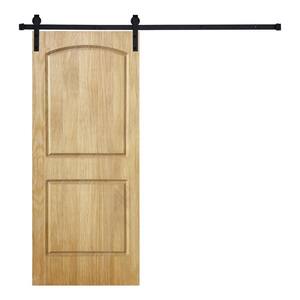 Modern 2 Panel-Roman Designed 84 in. x 28 in. Wood Panel Mother Nature Painted Sliding Barn Door with Hardware Kit