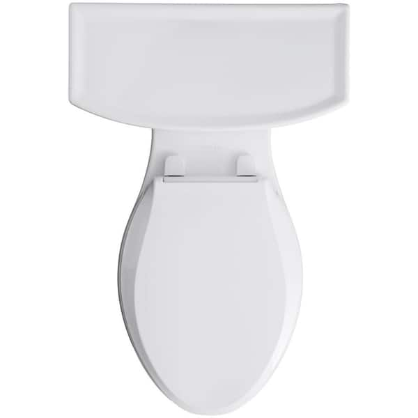 Archer 12 in. Rough In 2-Piece 1.28 GPF Single Flush Elongated Toilet in Ice Grey Seat Not Included