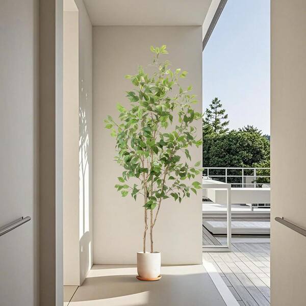 6 ft. Artificial Ficus Tree in White Planter with Moss and String