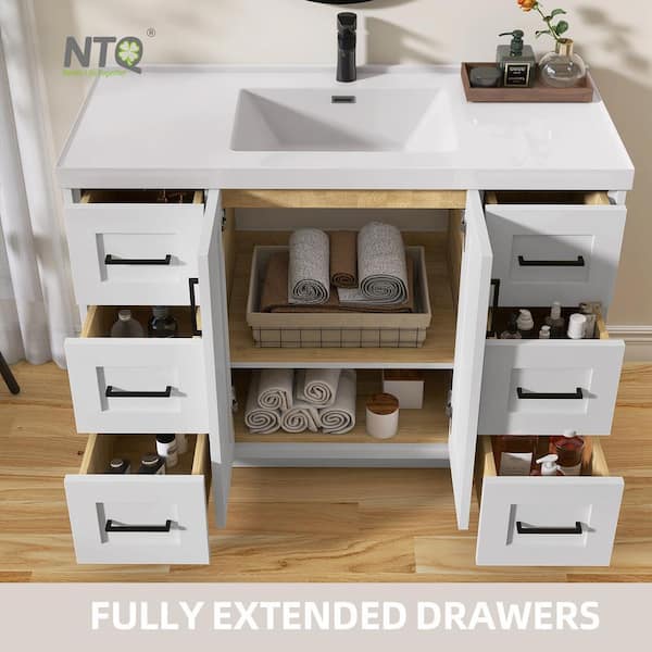 NTQ 48 in. W x 22 in. D x 36 in.H Bathroom Vanity Cabinet Single
