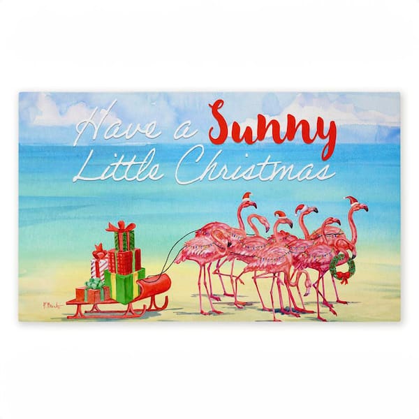 Have a Sunny Little Christmas Blue 18 in. x 30 in. Polyester Non-Slip Outdoor Door Mat