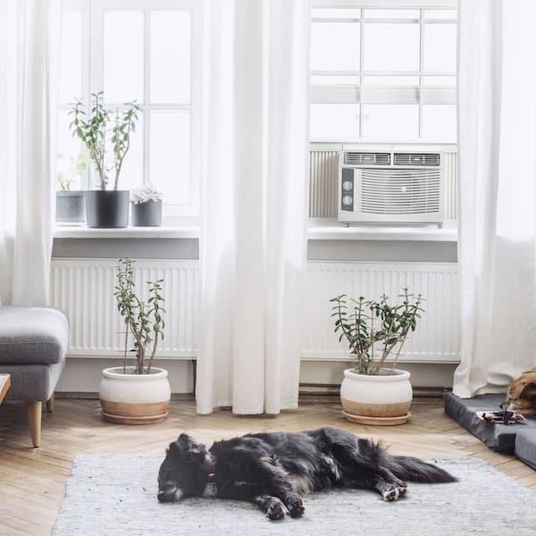 150 sq ft 5000 BTU Window Air Conditioner with Mechanical Controls in White, 1AW5000MSA, 115V