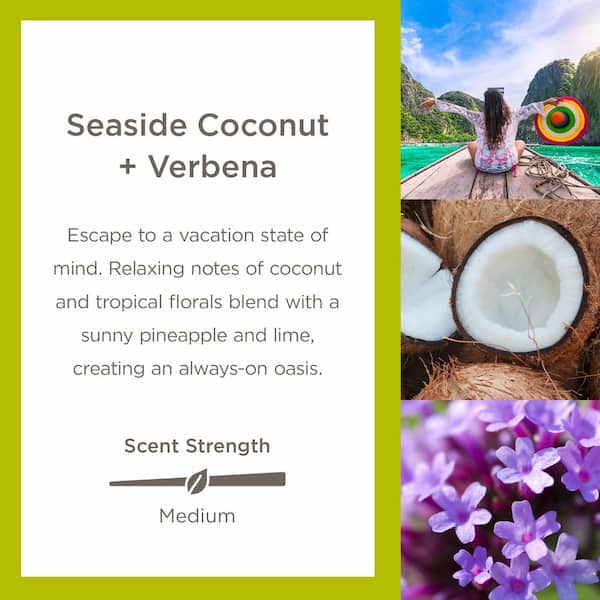 Enviroscent 3pc Car Air Freshener Seaside Coconut : Target