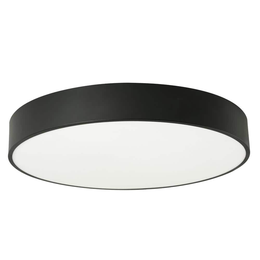Bailey Modern Black Glass Drum LED Flush Mount Ceiling Light