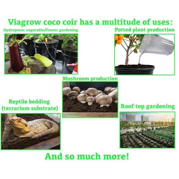 Coco Coir Brick for Plants, 8 Packs 100% Natural Organic Compressed Coconut  Coir Fiber with Low EC & PH Balance, High Nutrition Coconut Soil Coco