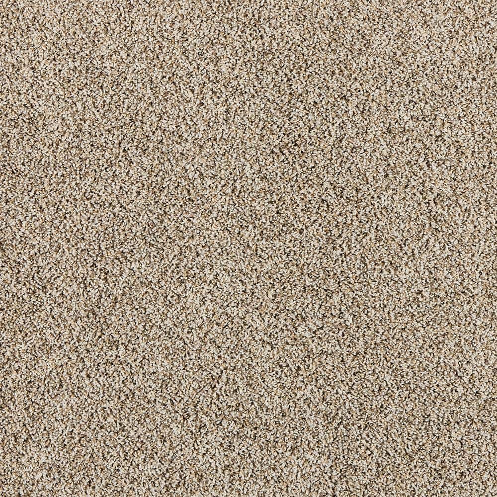 8 in. x 8 in. Texture Carpet Sample - Radiant Retreat III - Color Rustic price history on PriceWatchPro