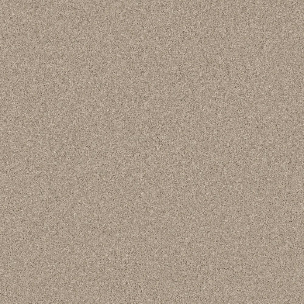 8 in. x 8 in. Texture Carpet Sample - Vignette Velvet I - Color Driftwood price history on PriceWatchPro