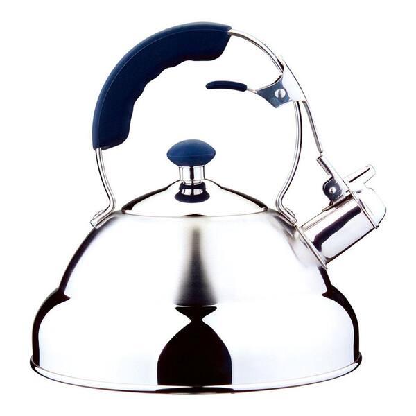 1829 Carl Schmidt Sohn AQUATIC 20-Cup Stainless Steel Whistling Tea Kettle