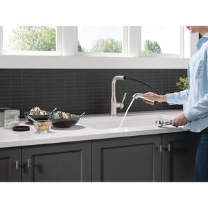 Almari Single Handle Pull Out Sprayer Kitchen Faucet Deckplate Included in Stainless