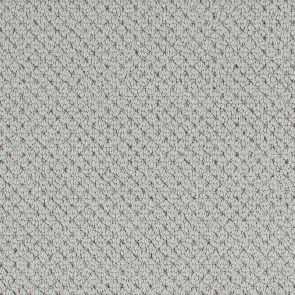 8 in. x 8 in. Pattern Carpet Sample - Abbotts Gate -Color Ice Wall price history on PriceWatchPro