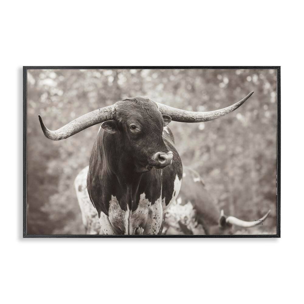 Longhorn's Gaze Photography by Nathan Larson Black Framed Animal Giclee Art Print 16 in. x 24 in. price history on PriceWatchPro