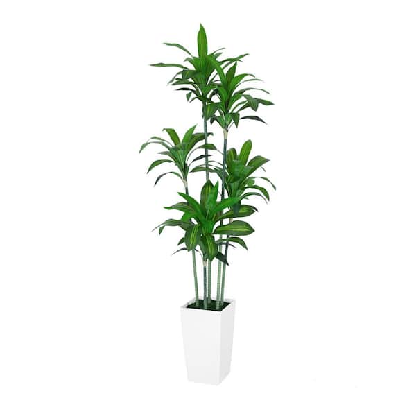 hykolity 6 ft. Artificial Trees, Artificial Dracaena Trees with White Planter, Tall Faux Tree in White Tall Planter