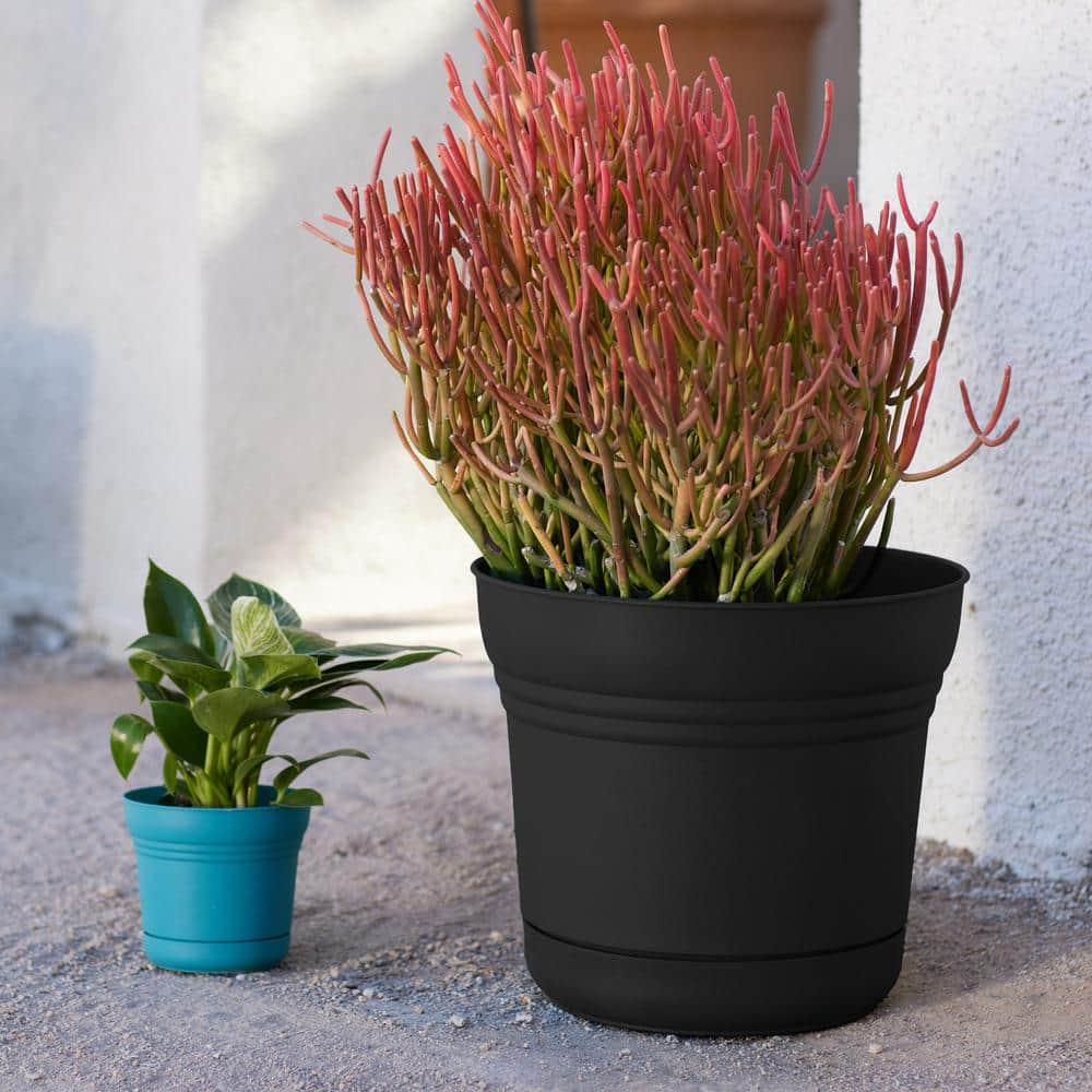 Saturn 12-inch Black Round Resin Planter with Saucer