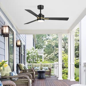 Silvester 52 in. Indoor Black/Gold Ceiling Fan with Color-Changing LED Light, Downrod and Remote Control