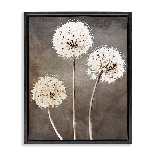 Fluffy Dandelion Wildflower Botanical Blooms by Kim Allen Black Floater Frame Graphic Art Print Nature 31 in. x 25 in.