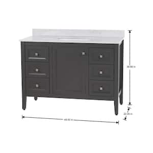 Darcy 49 in. W x 22 in. D x 39 in. H Single Sink Freestanding Bath Vanity in Shale Gray with Pulsar Cultured Marble Top