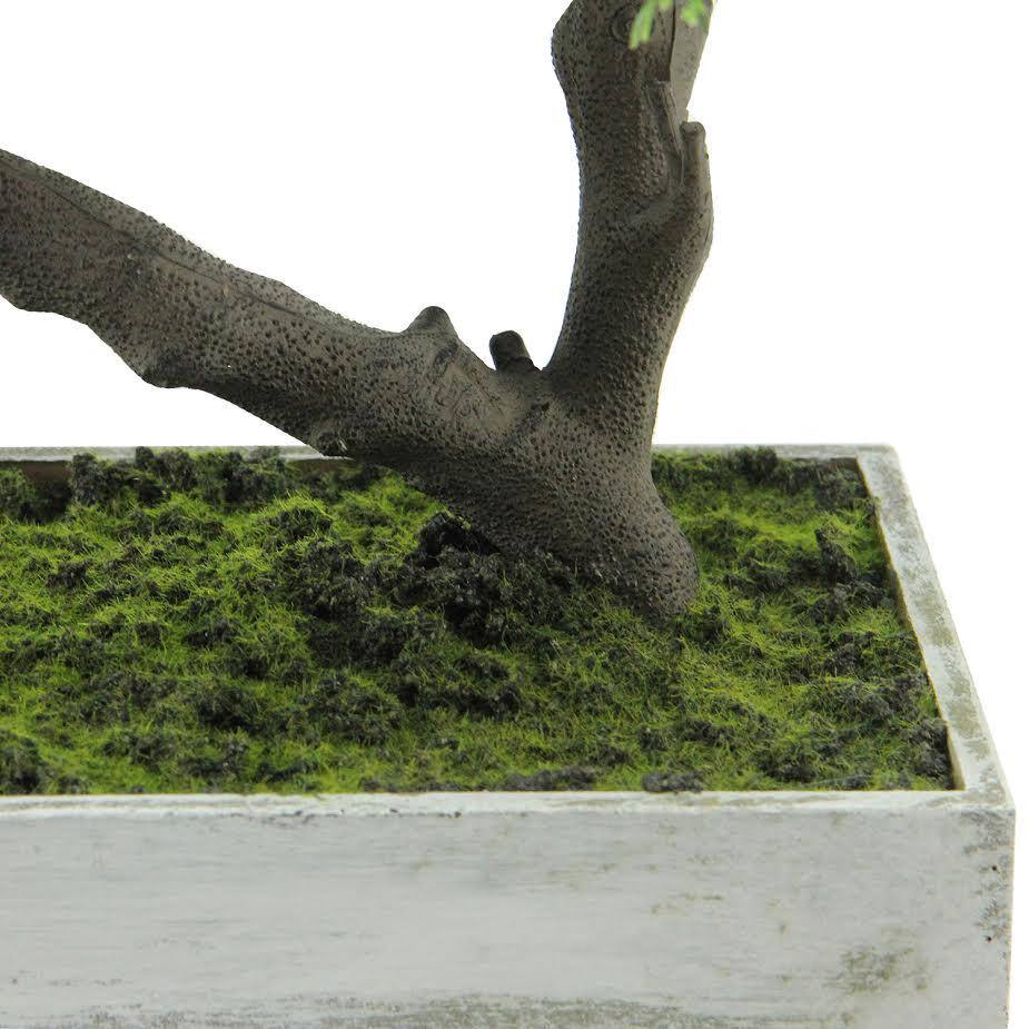 Green Plastic Japanese Bonsai Tree in White Planter Box